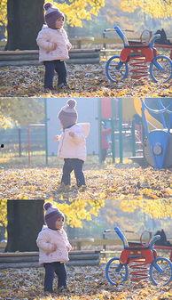 欧美散步视频大全图片,捕捉异国风情瞬间