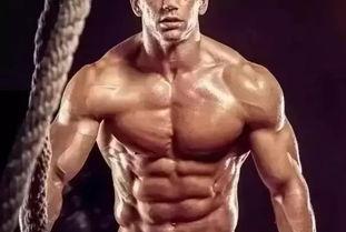 欧美腹肌视频合集网站,极致身材诱惑合集