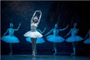 欧美明星群舞视频,群舞盛宴惊艳全球