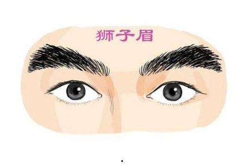 男士种植欧美眉毛视频