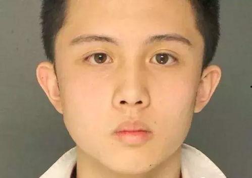 欧美明星儿子搞笑视频,萌态百出笑翻网友