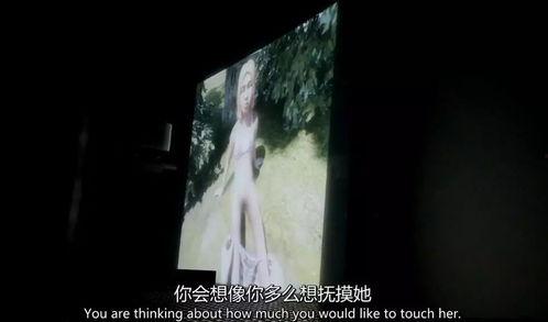 欧美视频高清变态,探索极限影像艺术