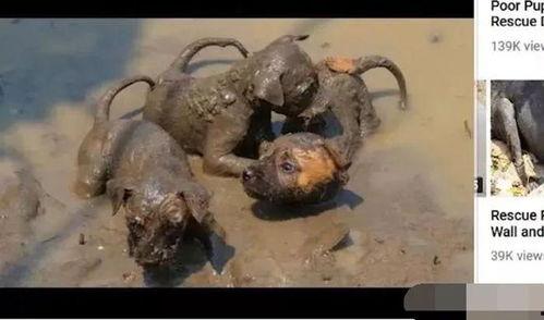 欧美恶魔视频在线观看,揭秘黑暗深渊的恐怖真相