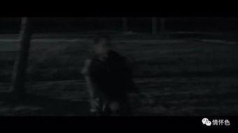 欧美惊悚片孕妇惨叫视频,孕妇惨叫视频揭秘生死边缘的惊魂时刻