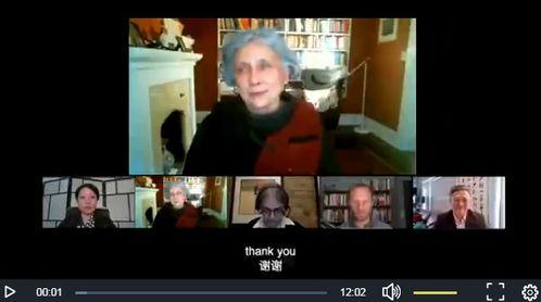 新疆欧美视频高清,欧美视角下的高清视觉盛宴