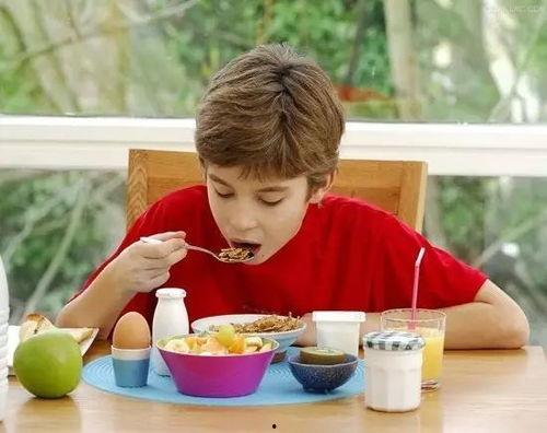 欧美人吃饭减肥视频大全,轻松享瘦的饮食秘诀大公开