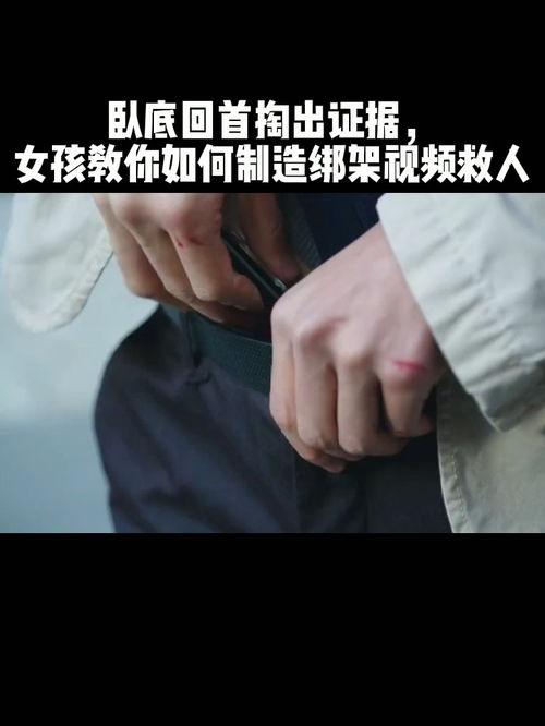 欧美绑架调教视频,权力与欲望的交织