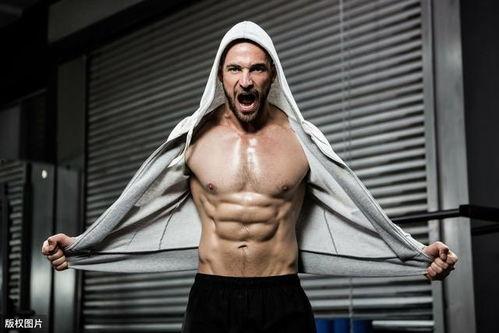 欧美胸肌成熟男人视频,力量与魅力的完美融合