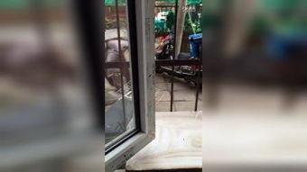 欧美偷窥免费视频,揭秘隐私边界与网络伦理挑战